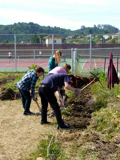 Students Digging